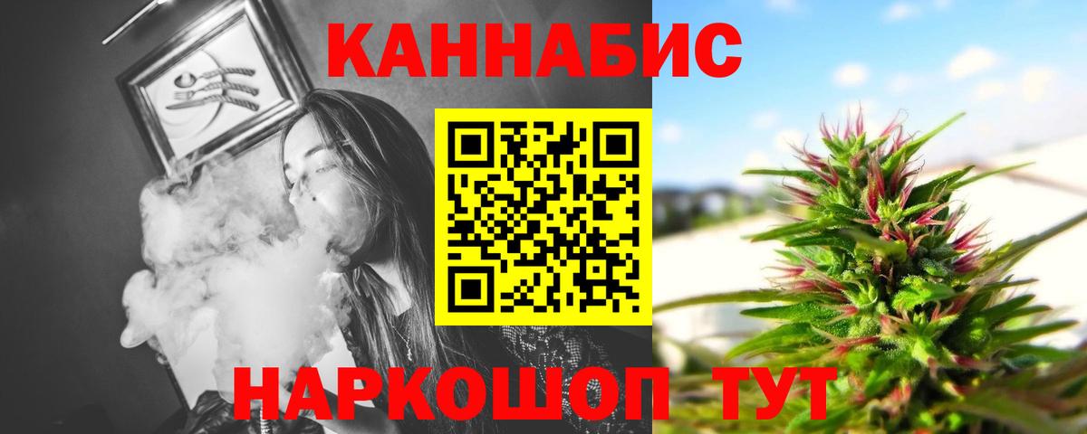 Каннабис индика Шахты